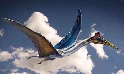 风神翼龙最新爆料视频,揭秘神秘生物的进化之谜