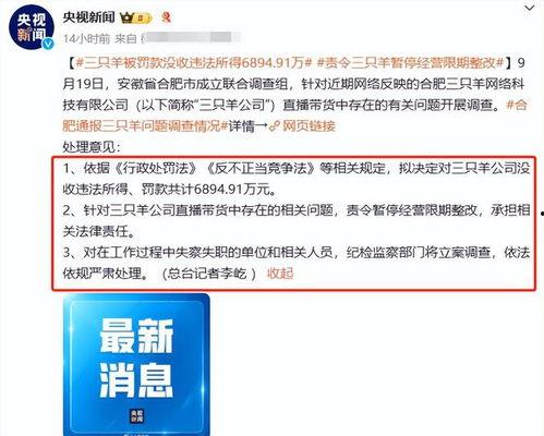 广东网红爆料新闻视频大全,新闻视频大全精彩瞬间回顾  第2张