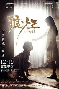 狼少年在线观看免费,穿越时空的守护者，免费在线观看之旅